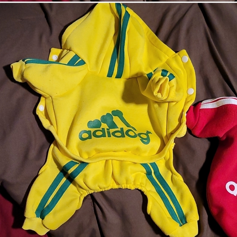 Dog Yellow Green Stripes Jumper